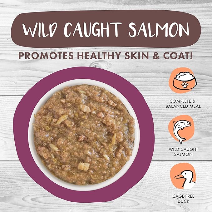 Weruva Classic Cat Stews, Stick A Spork in It with Duck &amp; Salmon in Gravy, 3oz Pouch (Pack of 12)