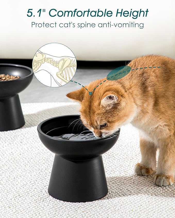 vancasso Ceramic Elevated Cat Bowls 2-Pack - 6.2" Extra Wide Raised Cat Food &amp; Water Dishes, 5.1" Optimal Height Anti-Whisker Fatigue Shallow Bowls for Cats/Kittens/Dogs, Lead &amp; Cadmium Free (Black)