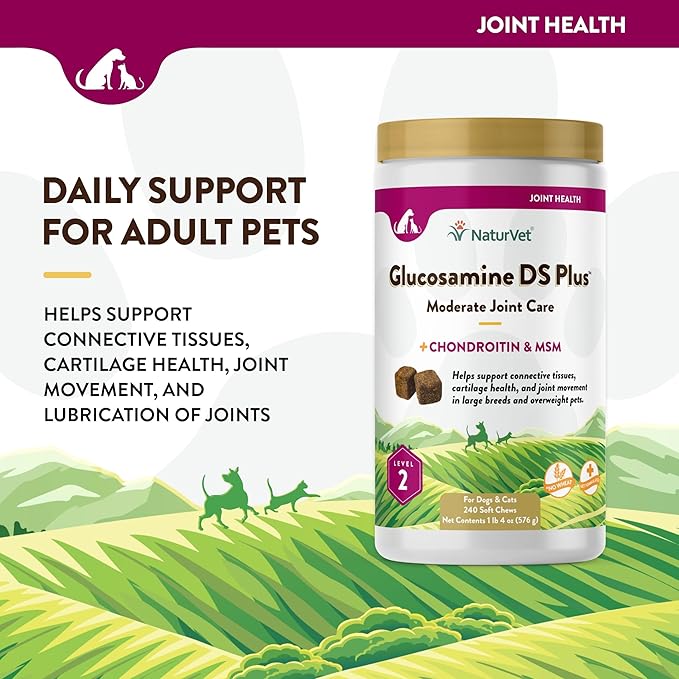 NaturVet – Glucosamine DS Plus - Level 2 Moderate Care – Supports Healthy Hip &amp; Joint Function – Enhanced with Glucosamine, MSM &amp; Chondroitin – for Dogs &amp; Cats – 240 Soft Chews