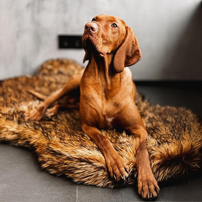 IHAPPYDOG Luxury Faux Fur Orthopedic Dog Bed, Memory Foam Dog Bed for Small, Medium, Large and XL Pets, Fluffy Pet Bed with Waterproof and Washable Cover (Brown, 50"x30")