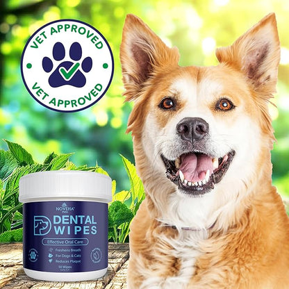 NOVEHA Pets Dental Finger Wipes for Dogs &amp; Cats | Freshens Breath, Reduces Plaque | Healthier Gums | Clean Teeth No Toothbrush | Vet Recommended Effective Natural Oral Care (50 pcs, Flavor-Free)