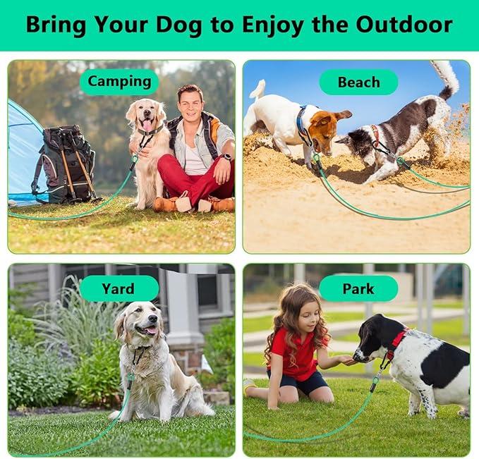 Dog Tie Out Cable 15FT-500Lbs,Heavy Duty Dog Leads&amp;Tether for Yard with Swivel Hook,Small Large Dogs Leash Line for Outside,Rust Chew Proof Dogs Run Cable for Outdoor Camping (Green Cyan, 15FT)