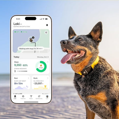 New Fi Series 3+ Smart Dog Tracker Collar – AI GPS for Dogs, Health &amp; Behavior Monitor, Virtual Fence, Escape Alerts, Waterproof, Apple Watch Compatible 12Mo Membership Included