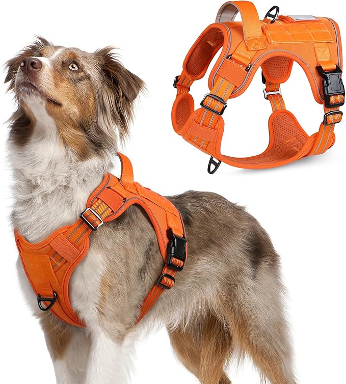 rabbitgoo Tactical Dog Harness Medium Sized Dog, No Pull Military Service Vest with Handle &amp; Molle, Easy Control for Training Walking, Adjustable Reflective Straps, Orange, M