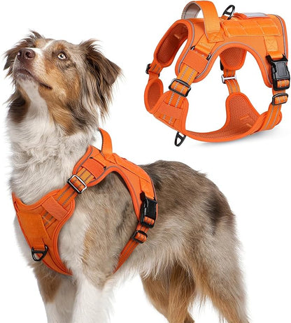 rabbitgoo Tactical Dog Harness Medium Sized Dog, No Pull Military Service Vest with Handle &amp; Molle, Easy Control for Training Walking, Adjustable Reflective Straps, Orange, M