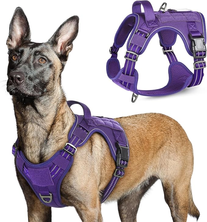 rabbitgoo Tactical Dog Harness for Large Dogs, No Pull Military Service Vest with Handle &amp; Molle, Easy Control for Training Walking, Adjustable Reflective Straps, Purple, L