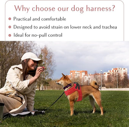 Comfort fit Step-in Dog &amp; Puppy Harness - Comfortable All Weather Dog Vest Harness: Adjustable, Soft Padded, Easy to Put-on for Small, Medium-Sized Dogs.