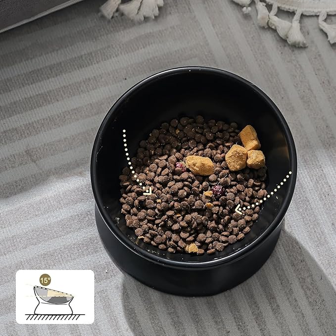 YINGFAN Elevated Cat Bowls, 5oz Ceramic Raised Cat Bowl for Cats/Kittens with Tilted Design, Porcelain Cats Feeding Dishes for Food/Water, Anti Vomit, Microwave &amp; Dishwasher Safe (Black)