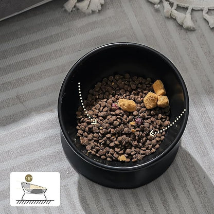 YINGFAN Elevated Cat Bowls, 5oz Ceramic Raised Cat Bowl for Cats/Kittens with Tilted Design, Porcelain Cats Feeding Dishes for Food/Water, Anti Vomit, Microwave &amp; Dishwasher Safe (Black)