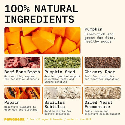 5-in-1 Dog Probiotic Powder – 100% Natural Gut Health Support with Prebiotics, Postbiotics &amp; Enzymes – Crafted by Dog Nutritionist Kayla Kowalski, Made in USA – 30 Scoops