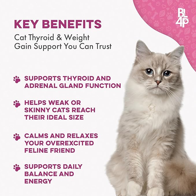 Cat Weight Gain &amp; Hyperthyroidism Treatment, Safe and Effective Cat Appetite Stimulant, Thyroid and Metabolic Support, Weight Management Remedy, 400 All-Natural Odorless, Tasteless Pills
