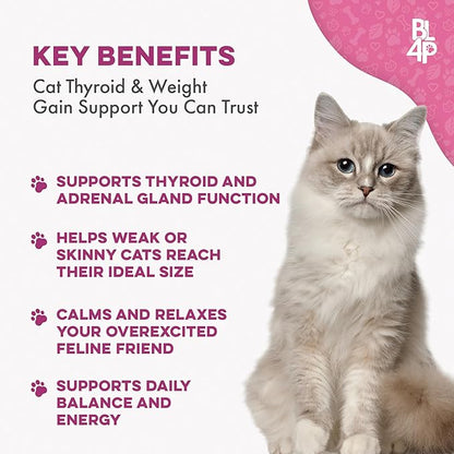 Cat Weight Gain &amp; Hyperthyroidism Treatment, Safe and Effective Cat Appetite Stimulant, Thyroid and Metabolic Support, Weight Management Remedy, 400 All-Natural Odorless, Tasteless Pills