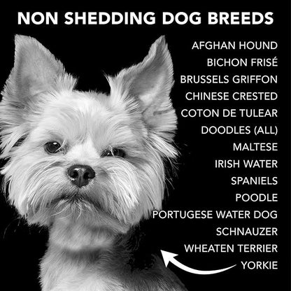 Pride and Groom The Non Shedder Box Set – Dog Shampoo &amp; Conditioner with All Natural Blend of Essential Oils &amp; Ingredients to Heal and Nourish for Long Lasting Shine &amp; Manageability – 32oz