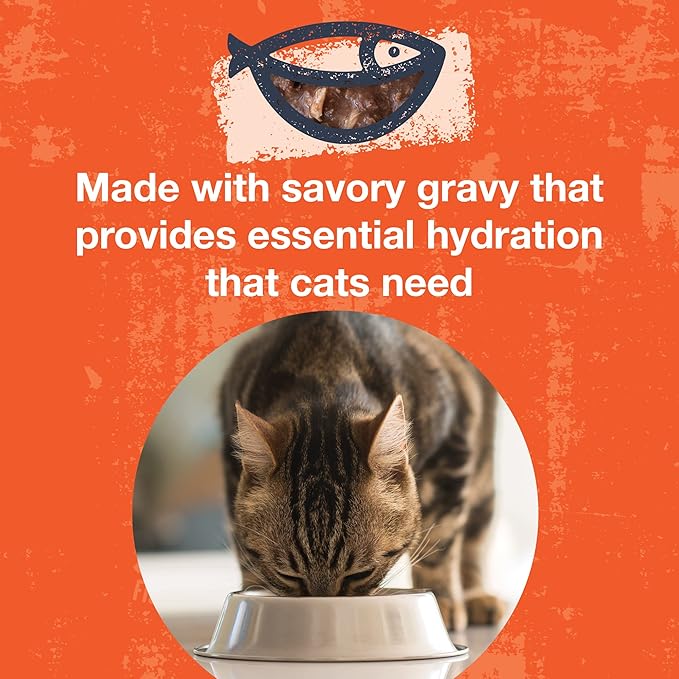 KOHA Poké Bowl Tuna &amp; Chicken Entree in Gravy for Cats, 12-Pack of 3oz Pouches