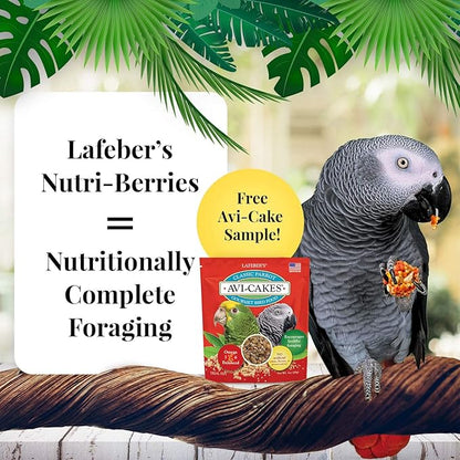 LAFEBER&