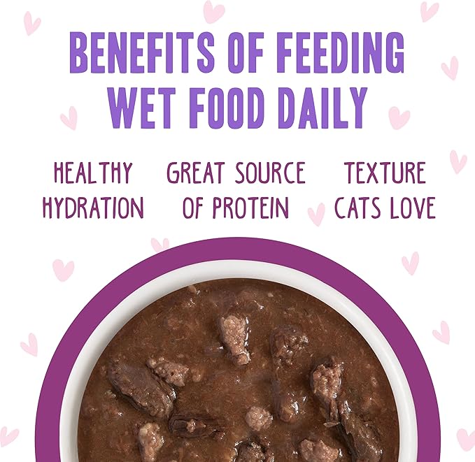 Weruva B.F.F. OMG - Best Feline Friend Oh My Gravy!, Tuna &amp; Beef Belly Rubs with Tuna &amp; Beef, 2.8oz Can (Pack of 12)