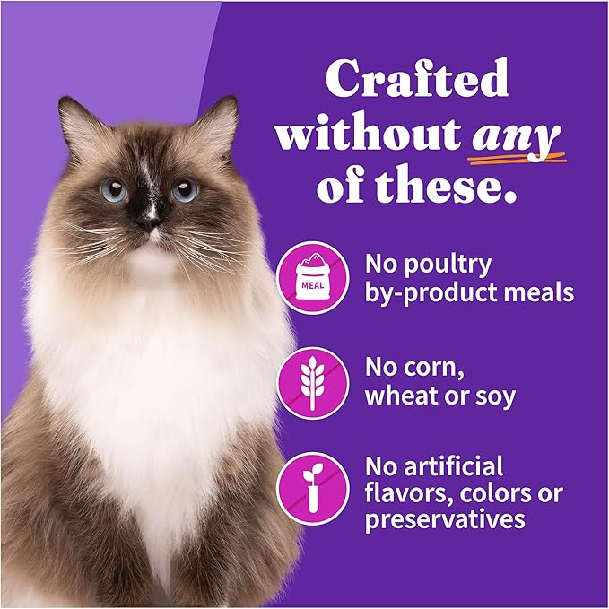 Halo Wet Cat Food Turkey &amp; Duck Recipe, Grain Free Wet Cat Pate, Canned Cat Food for Extra Hydration, 5.5 Oz Can (Pack of 12)