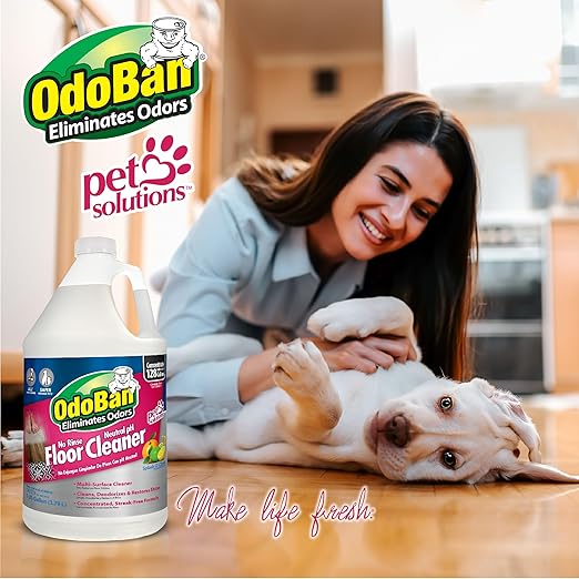 OdoBan Pet Solutions No Rinse Neutral pH Floor Cleaner Concentrate, Made in the USA, Splash O&