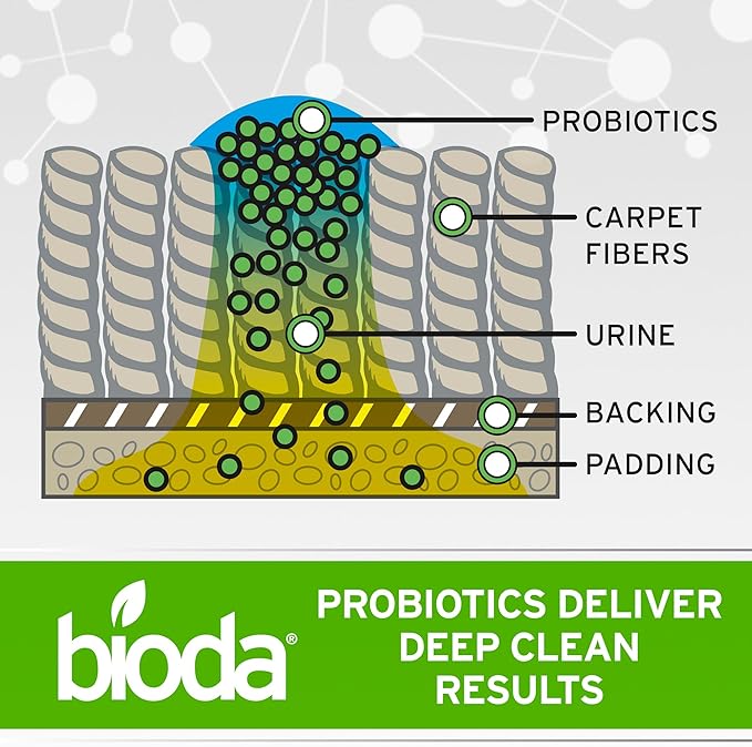 Bioda Pet Stain and Odor Eliminator | Pet Urine Enzyme Cleaner | Stain Remover | Urine Odor Eliminator | Carpet &amp; Couch Cleaner | Made in USA | 1 Gallon