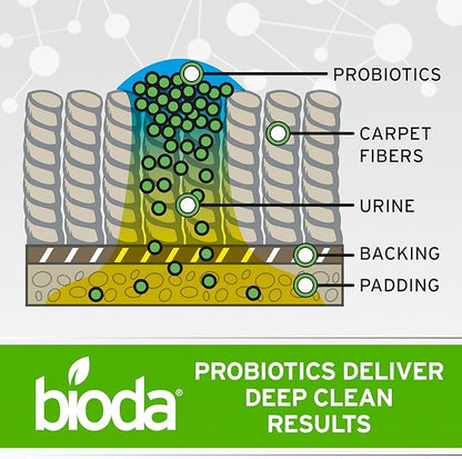 Bioda Pet Stain and Odor Eliminator | Pet Urine Enzyme Cleaner | Stain Remover | Urine Odor Eliminator | Carpet &amp; Couch Cleaner | Made in USA | 1 Gallon