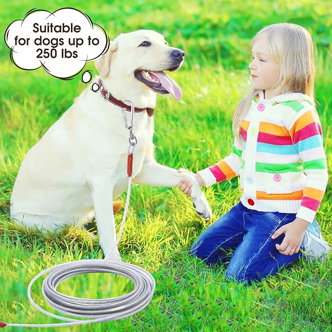 Dog Tie Out Cable for Dogs Outside Up to 250lbs,10/20/30/50/100FT Long Dog Leash&amp;Chains,Small-Large Dogs Runner Cable for Yard,Heavy Duty Lead Line for Outdoor,Camping,Yard (250lbs 100FT, Silver)