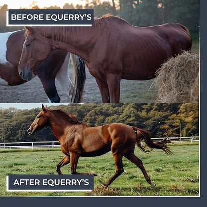Equerry&