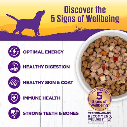 Wellness Complete Health Thick &amp; Chunky Natural Grain Free Canned Wet Dog Food, Chicken Stew, 12.5-Ounce Can (Pack of 12)