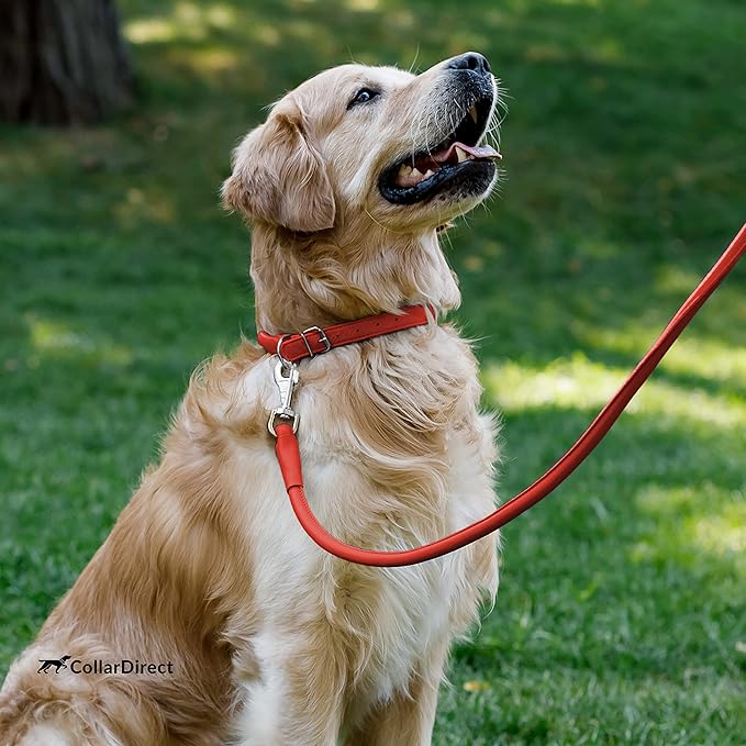 CollarDirect Rolled Leather Dog Collar, Soft Padded Round Puppy Collar, Handmade Genuine Leather Collar Dog Small Large Cat Collars 13 Colors (13-16 Inch, Red Textured)