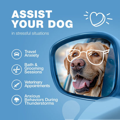 Hemp Calming Chews for Dogs Anxiety Relief L-Theanine &amp; Chamomile