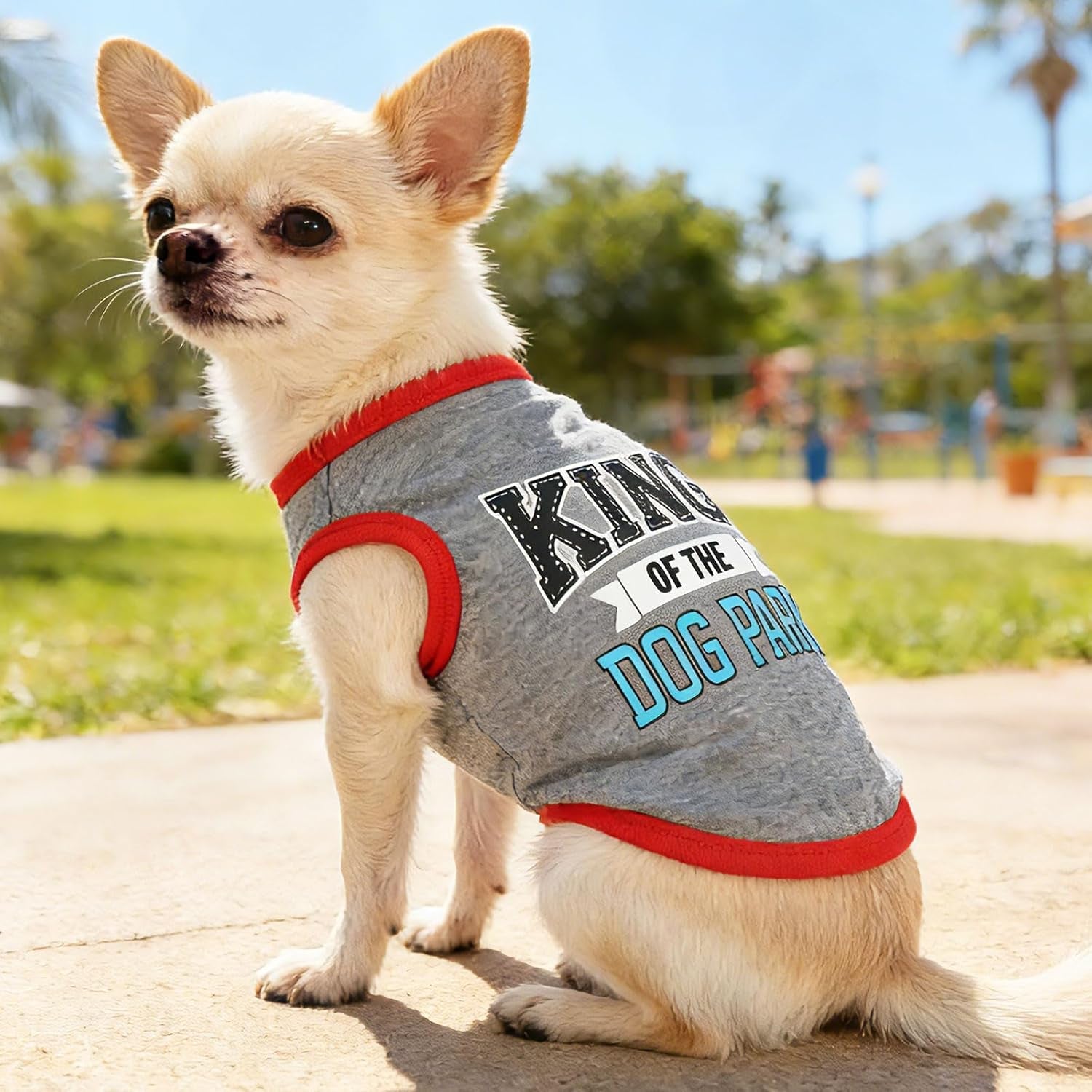 Small Dog Shirts — Cute Puppy Clothes for Chihuahua, Yorkie &amp; Small Breeds | 4-Pack