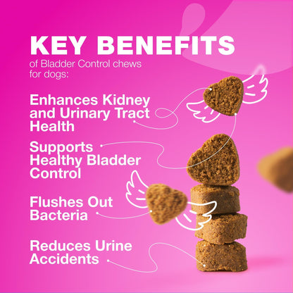 Dog UTI Treatment Cranberry Supplement Bladder &amp; Kidney Health