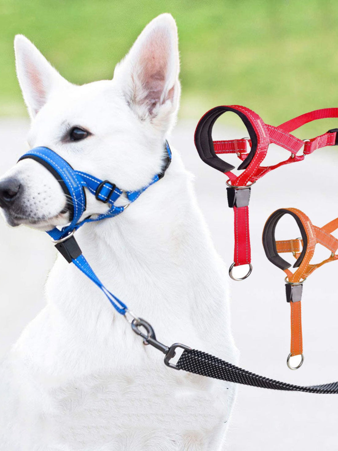 Adjustable Dog Muzzle