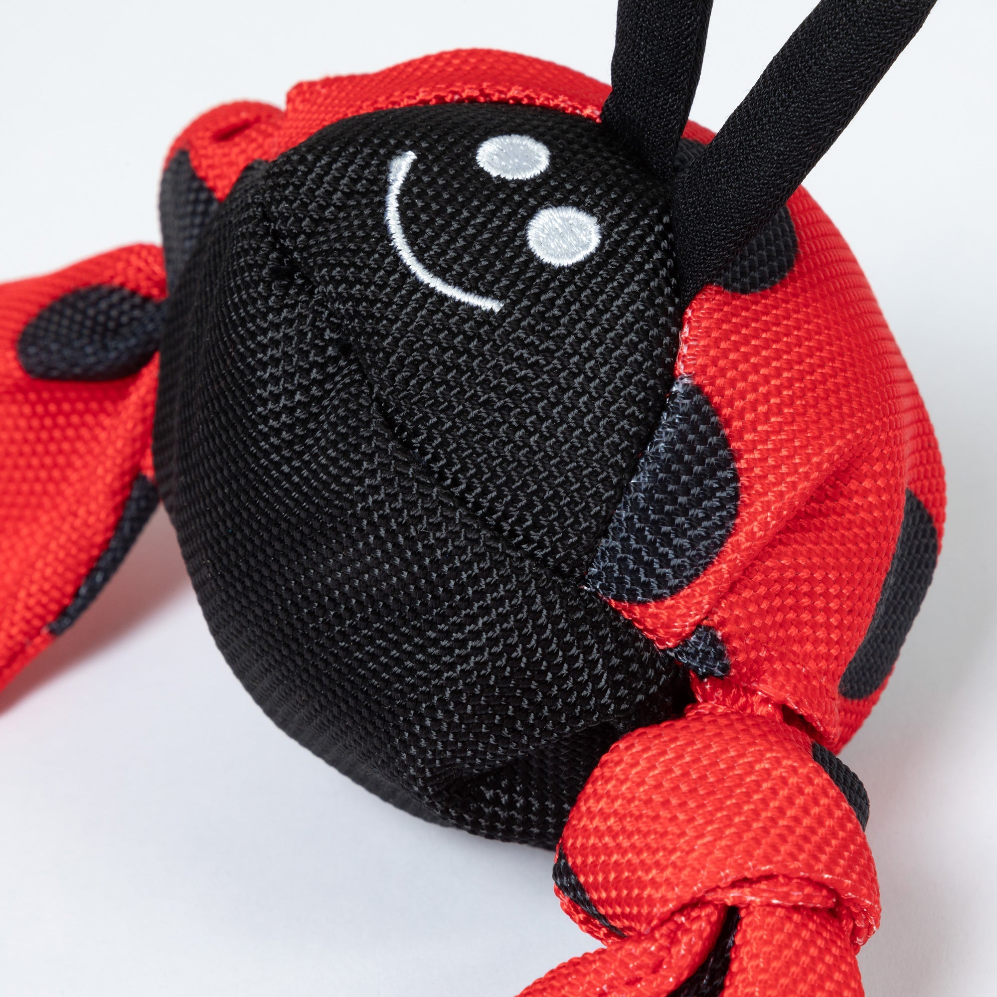 Jolly Pets Jolly Tug&amp;trade; Insect Medium Dog Toy