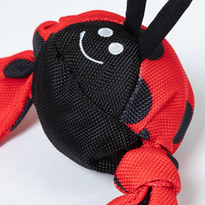 Jolly Pets Jolly Tug&amp;trade; Insect Medium Dog Toy