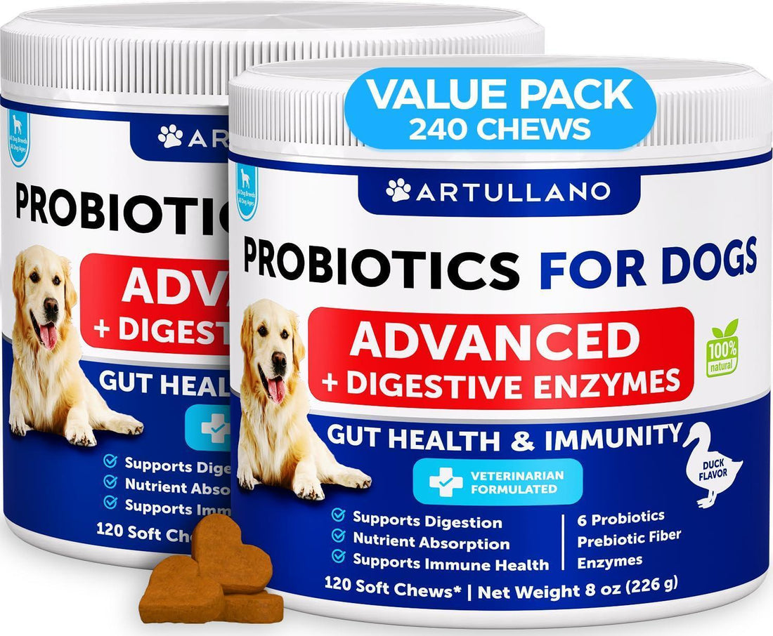 Probiotics for Dogs 240 Count 2-Pack Digestive Enzymes &amp; Prebiotics Gut Health