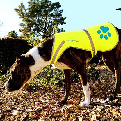 Reflective Dog Safety Vest Hi-Vis XS Size Yellow