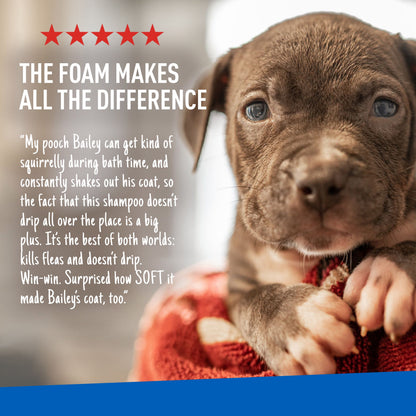 Keep Your Dog Happy and Flea-Free with ADAMS Plus Flea &amp; Tick Foaming Shampoo &amp; Wash - 2 Pack for Sensitive Skin!