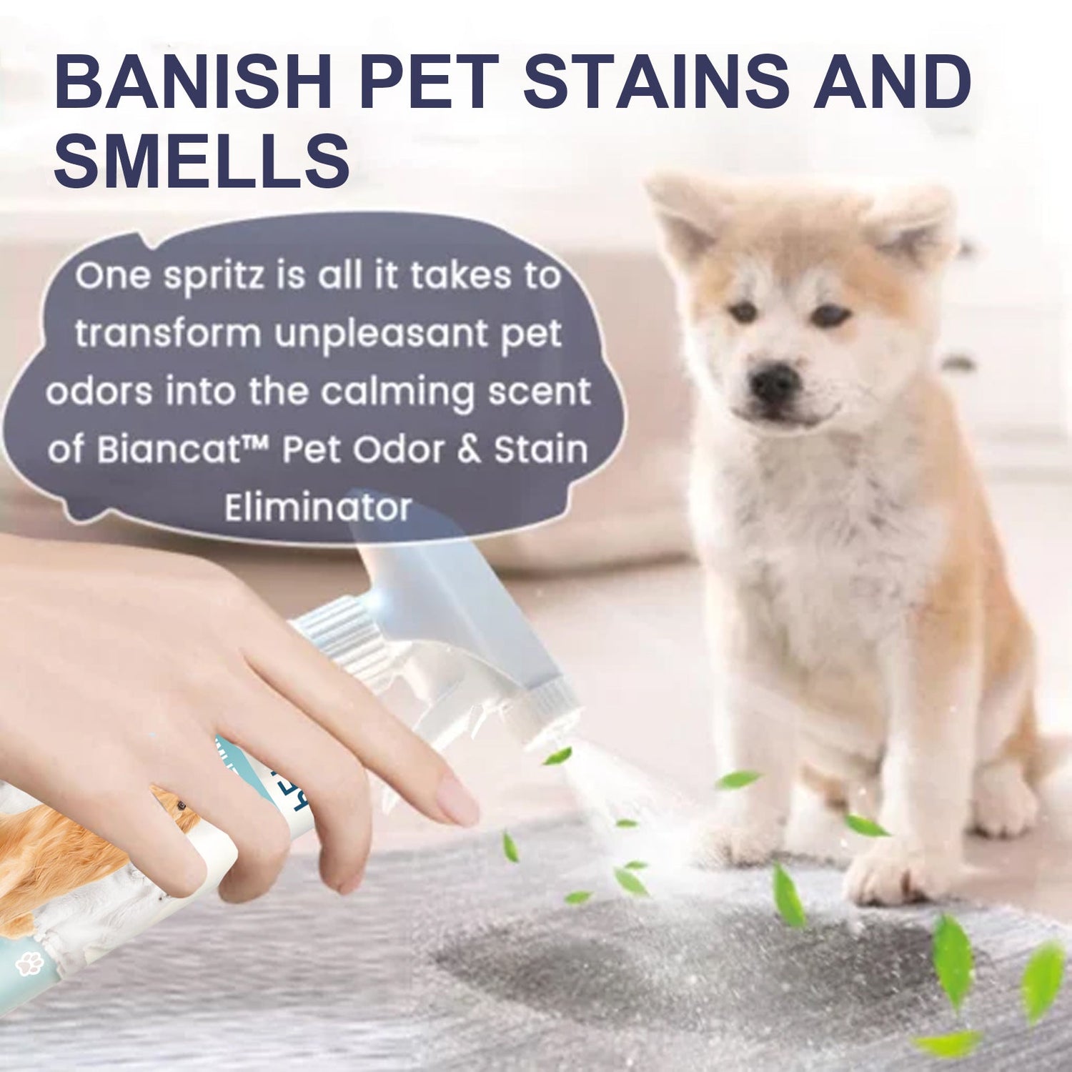 Pet Odor &amp; Stain Eliminator, Clean Dog And Cat Body Odor Feces Odor Removal Indoor Fresh Deodorizer