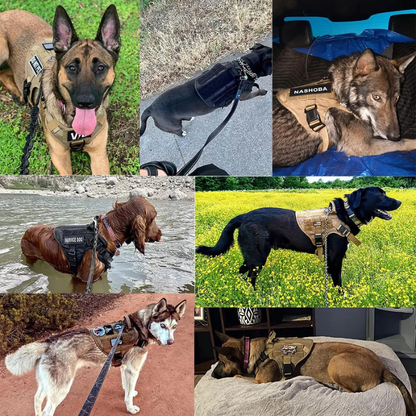 Large Dog Harness &amp; Leash Set – Training Vest for Big Breeds