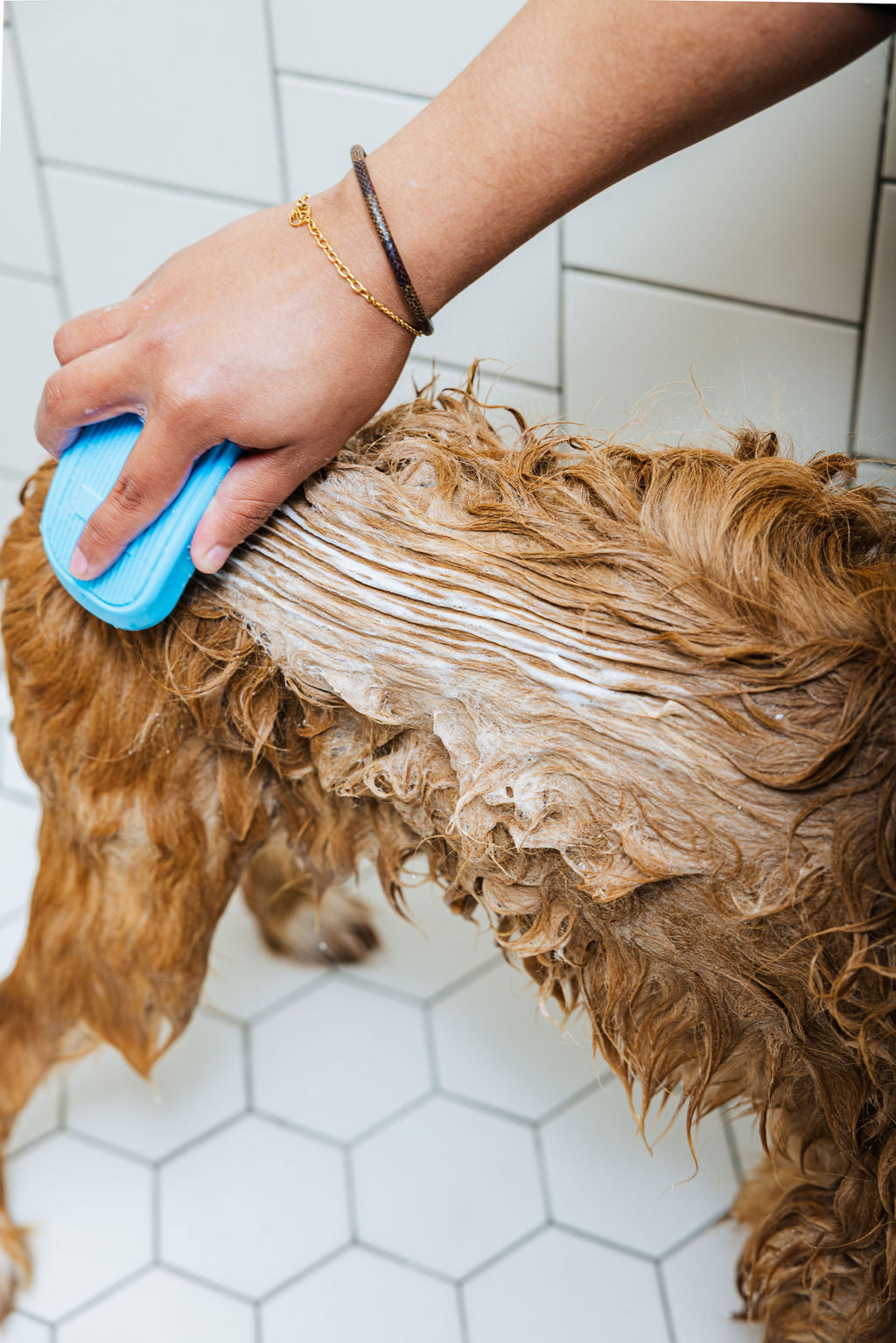 "Spaw" Day (Dog Shampoo &amp; Conditioner Duo)
