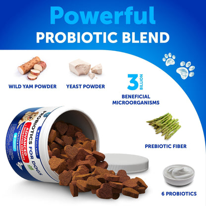 Probiotics for Dogs 240 Count 2-Pack Digestive Enzymes &amp; Prebiotics Gut Health