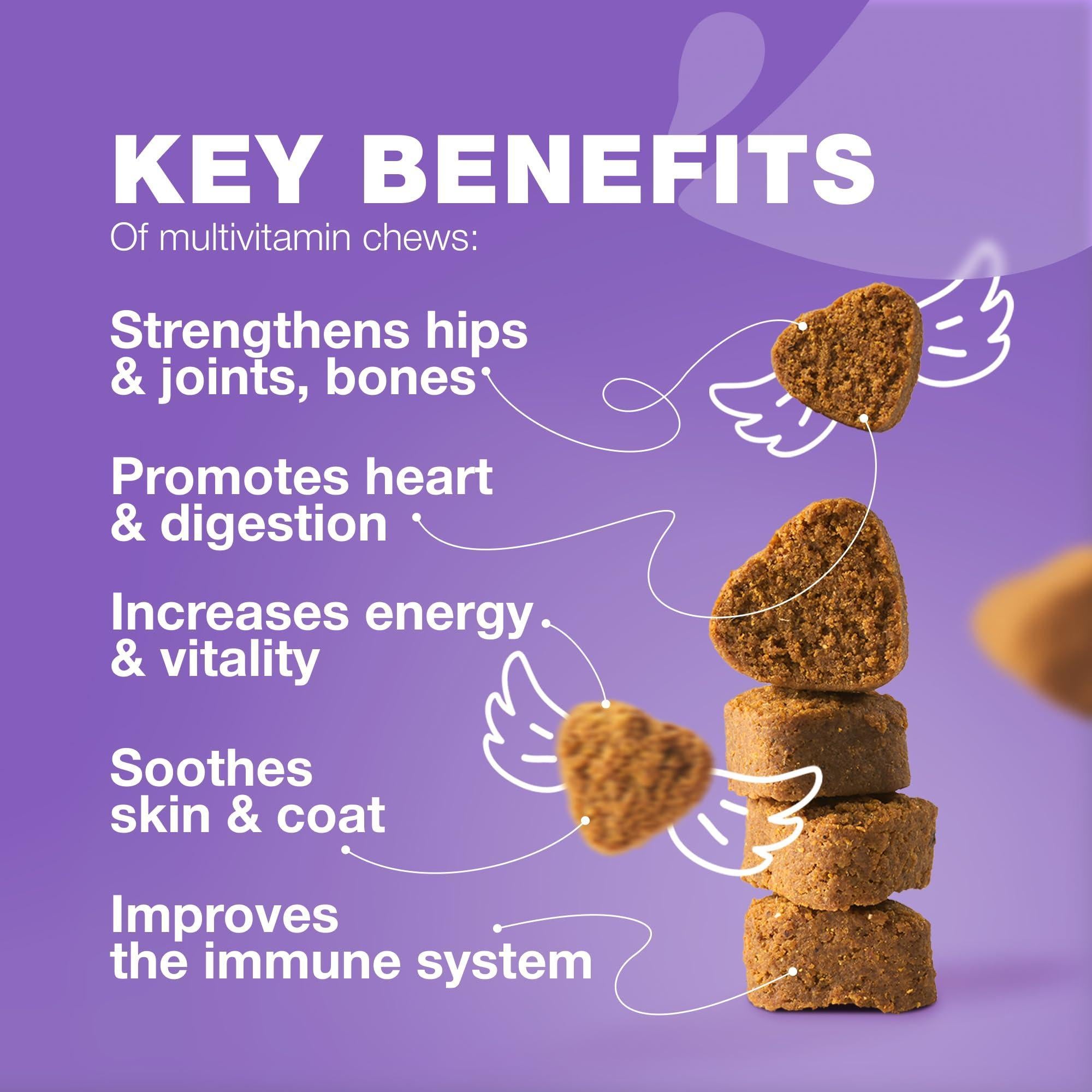 Dog Multivitamin Chews 15-in-1 MSM Hip &amp; Joint Health