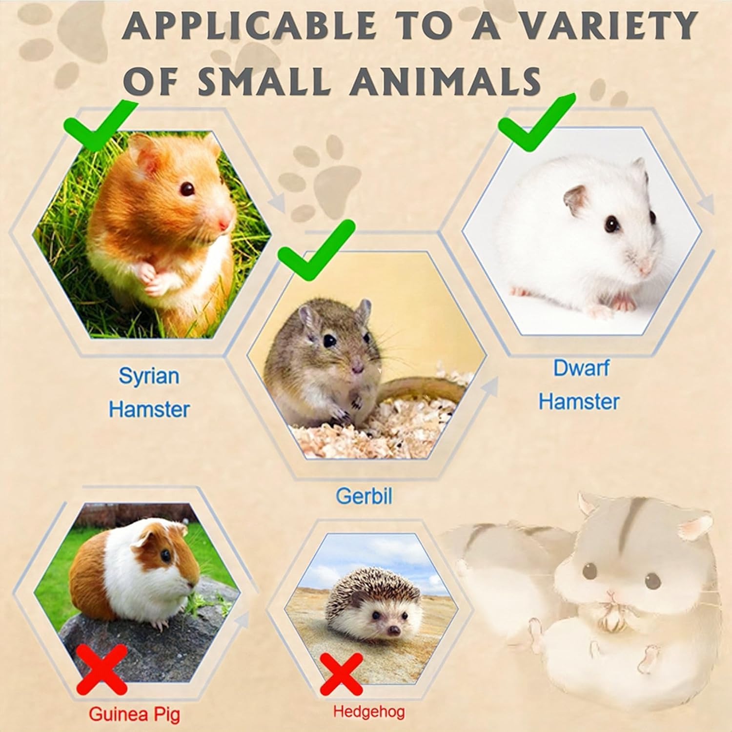 Acrylic Hamster Cage 2 Tier Habitat with Accessories Transparent Small Pets