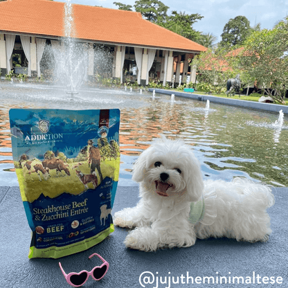 Steakhouse Beef &amp; Zucchini Air-Dried Dog Food