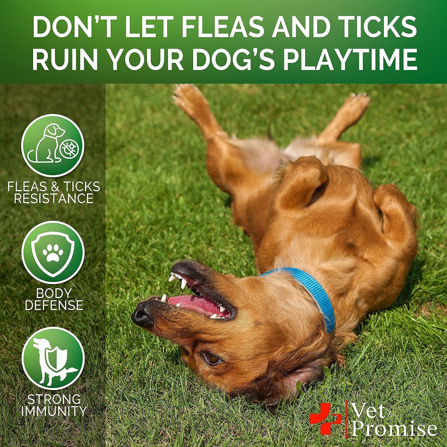 Flea &amp; Tick Chews for Dogs 2-Pack