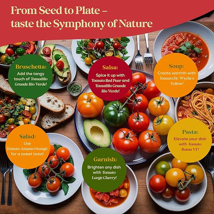 14 Tomatillo &amp; Tomato Seeds for Planting Variety Pack - 990+ Non-GMO Heirloom Vegetable Seeds for Growing Tomato Indoor &amp; Outdoor: Cape Gooseberry, Cherry, Flame, Roma, Beefsteak Tomatoes
