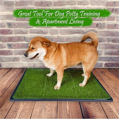 Dewonch Dog Artificial Grass Pad with Tray for Puppy Potty Training, Fake Turf Patch &amp; Washable Pee Pad Pet Loo for Small and Medium Dogs, Indoor or Outdoor Use (Potty System 35.4” x 23.6”)