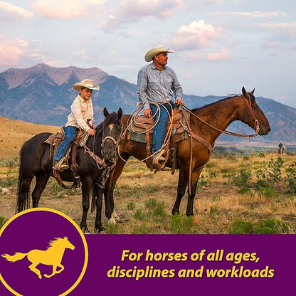 Farnam Horse Health Red Cell Pellets, Vitamin-Iron-Mineral Supplement for Horses, Helps Fill Important Nutritional Gaps in Horse&