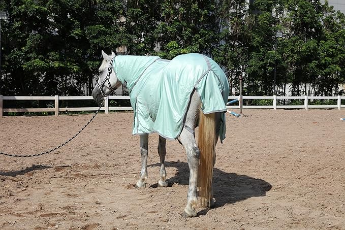 Horse Fly Sheet with Detachable Neck Cover &amp; Belly Wrap, Adjustable Fly Sheet for Horses, Ventilated Airflow Mesh Equine Cooling Summer Flysheet Green 81