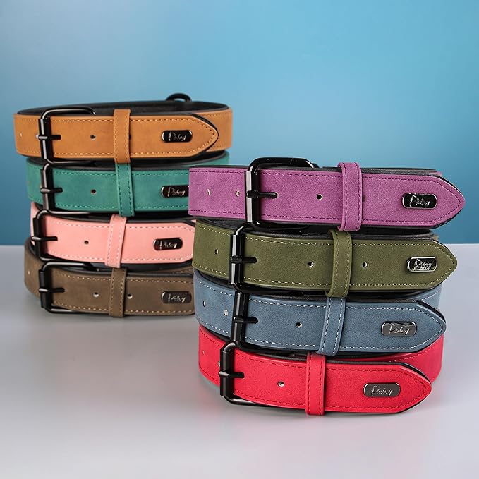 Didog Soft Padded Leather Dog Collar, Breathable Heavy Duty Dog Collar Leather with Adjustable Rust-Proof Metal Buckle for Small Medium Large Dogs, Green, M: Total length 16&